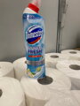 Domestos Citrón 700ml