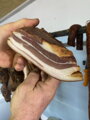 Domáca slanina prerastená  1 kg