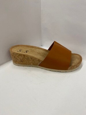 TZ149-6  camel