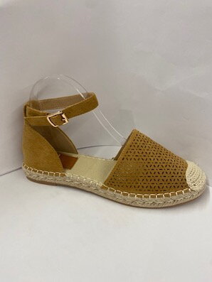 76/QO1655 camel