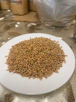 ŠPALDA ZRNO BIO 5 KG PRAZRNKO