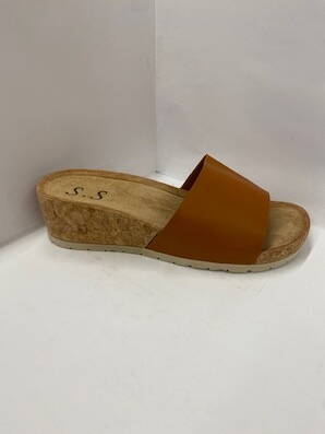 TZ149-6  camel
