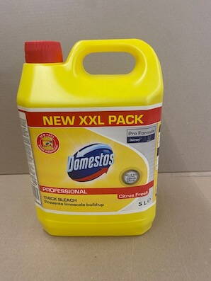 Domestos professional 5 litrov